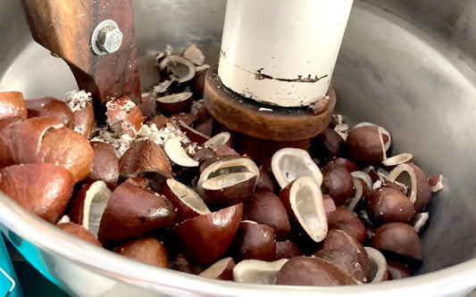 Wood Pressed Oils: Bringing Ancient Wisdom Back to Your Kitchen