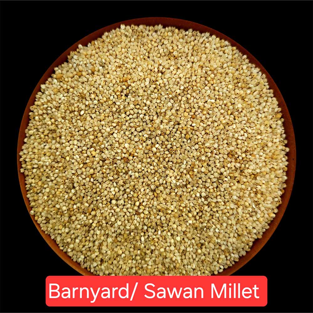 Barnyard Millet (Sanwa)